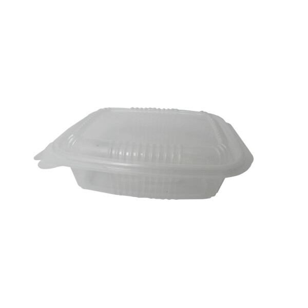 BANDEJA PP CON TAPA BISAGRA 15X19X5 CM. TRANSPARENTE