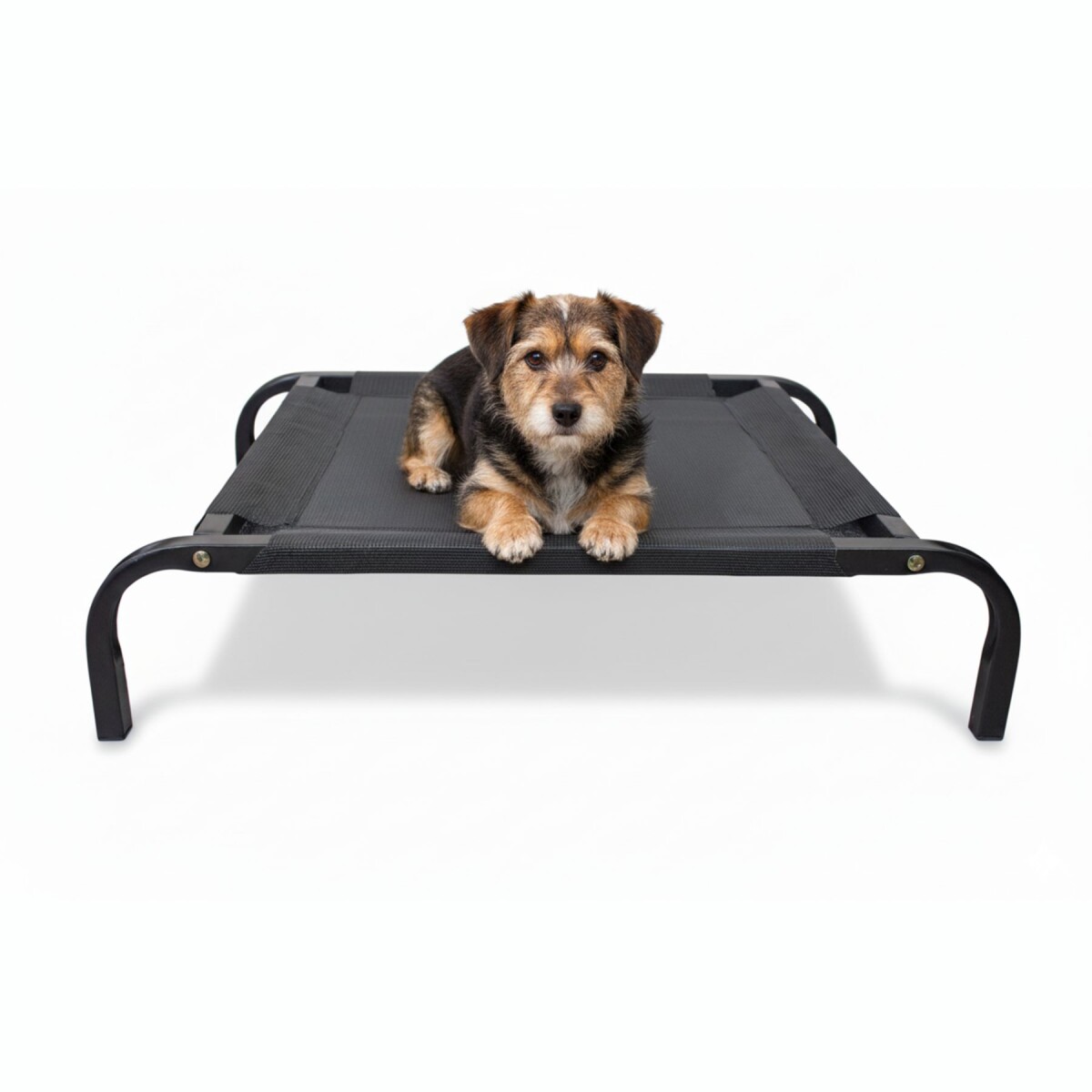 Cama para Mascota Tamaño M modelo Catrex Beepet 