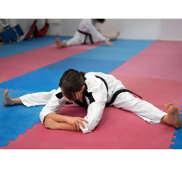 Piso Tatami X10 Goma Eva Encastrable 1x1m 2cm Gimnasio Niños Color Azul Rojo