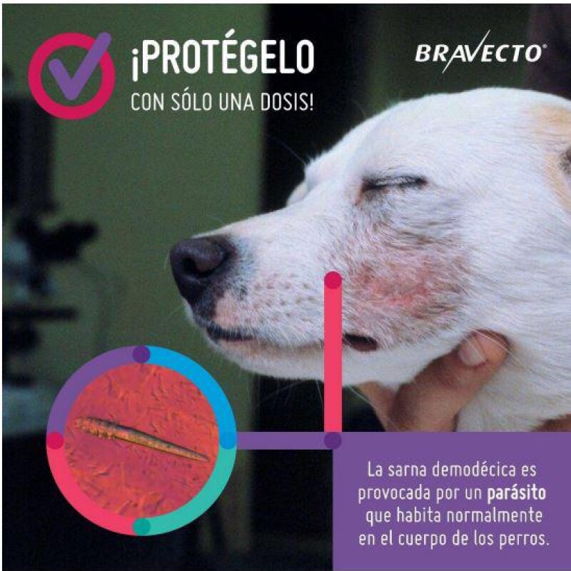 BRAVECTO ANTIPULGAS Y ANTIGARRAPATAS 20 A 40 KG