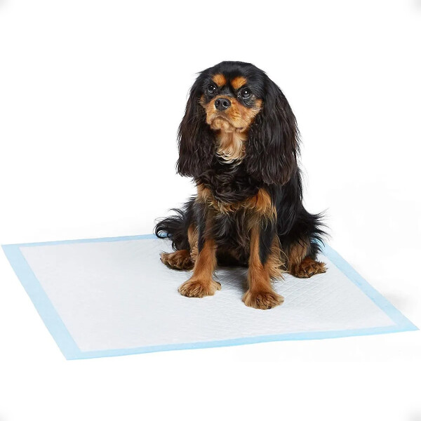 Pads De Entrenamiento unidades Para Perros Y Cachorros Resistentes a lÃ­quidos X20