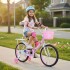 Bicicleta infantil Shengdi Rodado 18 Canasto Parrilla Hadas Rosa 2