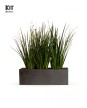 KIT Jardinera "Gris Grafito" 1m* 30cm* 30cm* C/Dietes y Sustratos