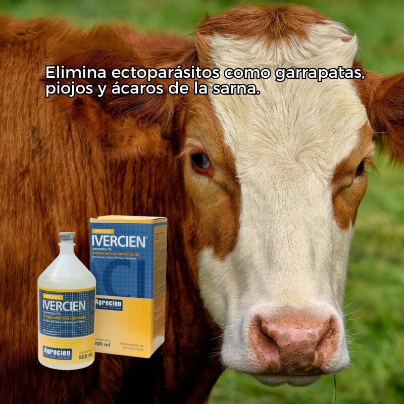 IVERCIEN 1% 500 ML IVERCIEN 1% 500 ML