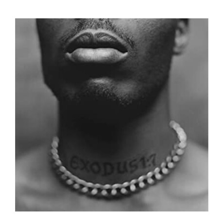 Dmx Exodus Vinilo Dmx Exodus Vinilo