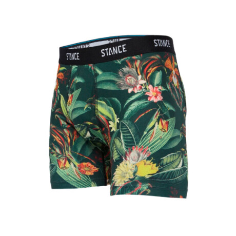 Boxer Stance Playa Larga Estampado