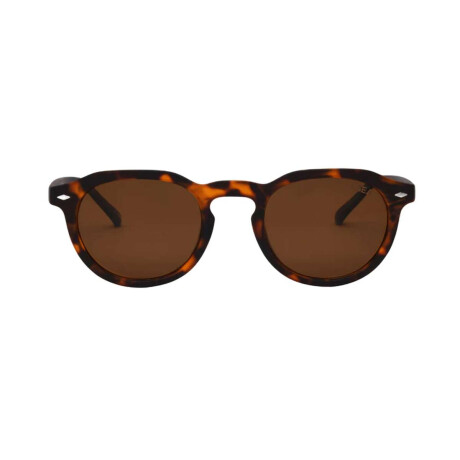 Lentes I-Sea Blair Tortoise