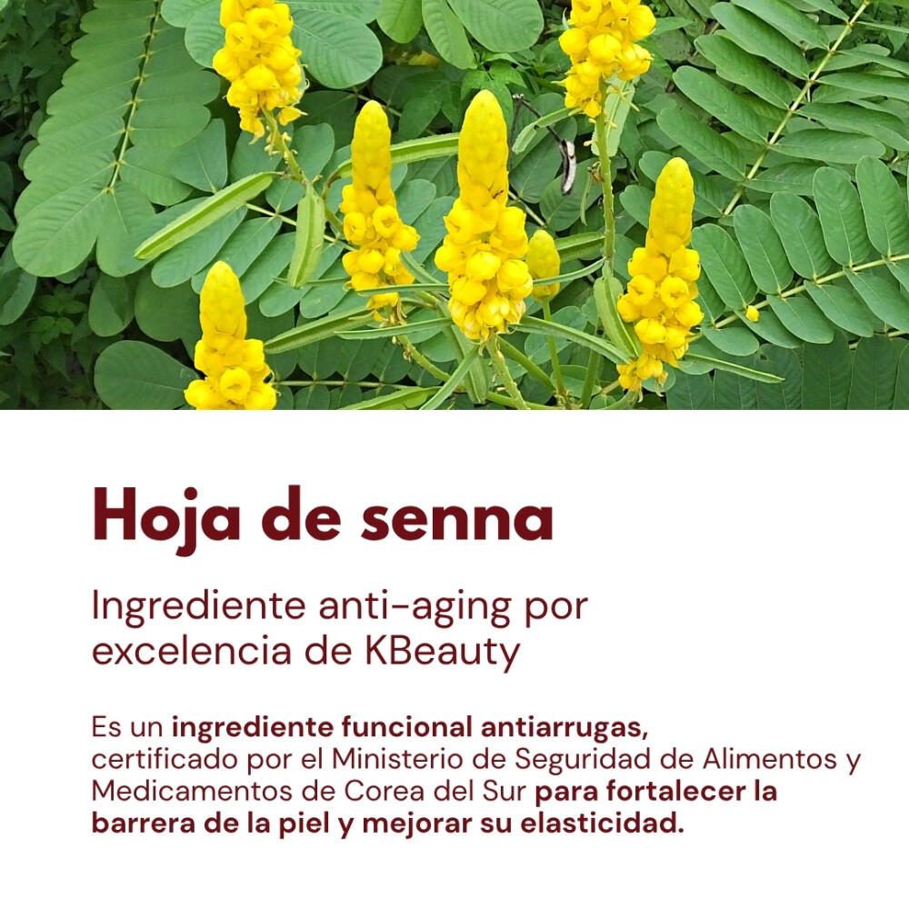 Pack Antiage de Colágeno Coreano — Rutina en 3 Pasos Pack Antiage de Colágeno Coreano — Rutina en 3 Pasos