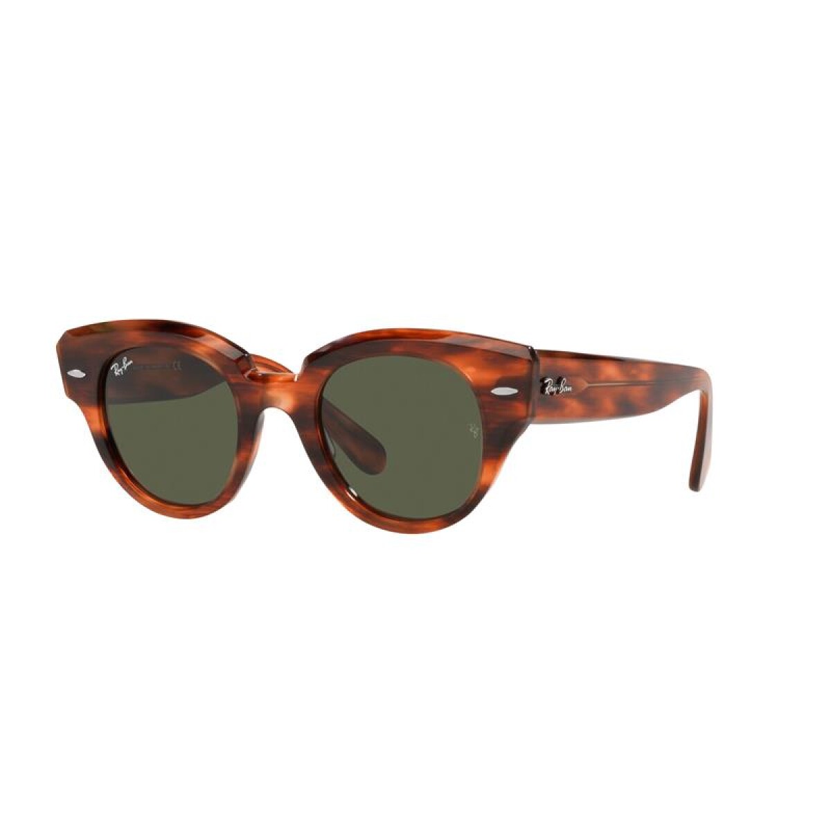 Ray Ban Rb2192 Roundabout - 954/31 