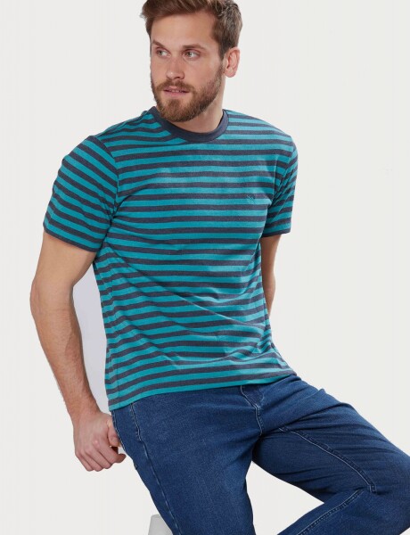 REMERA RAYADA Verde
