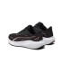 CHAMPION 36-41 NEGRO