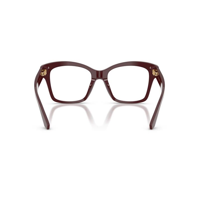 Dolce & Gabbana Dg3419 3091
