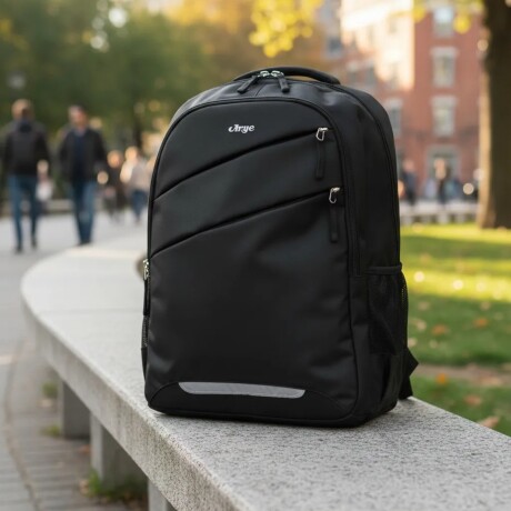 Mochila Urbana Arye San Antonio Varias Reparticiones 35 lts Negro