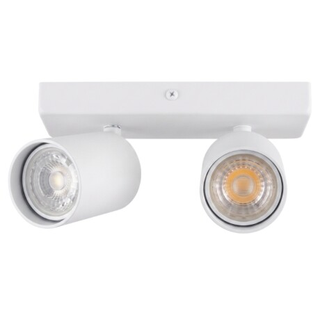 AASOL20 Luminaria de Techo Leticia Doble Blanca