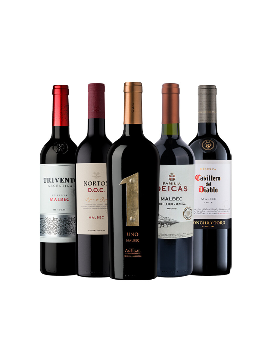 Pack Bacán Selección Malbec Esencial x5 vinos Malbec Pack Bacán Selección Malbec Esencial x5 vinos Malbec