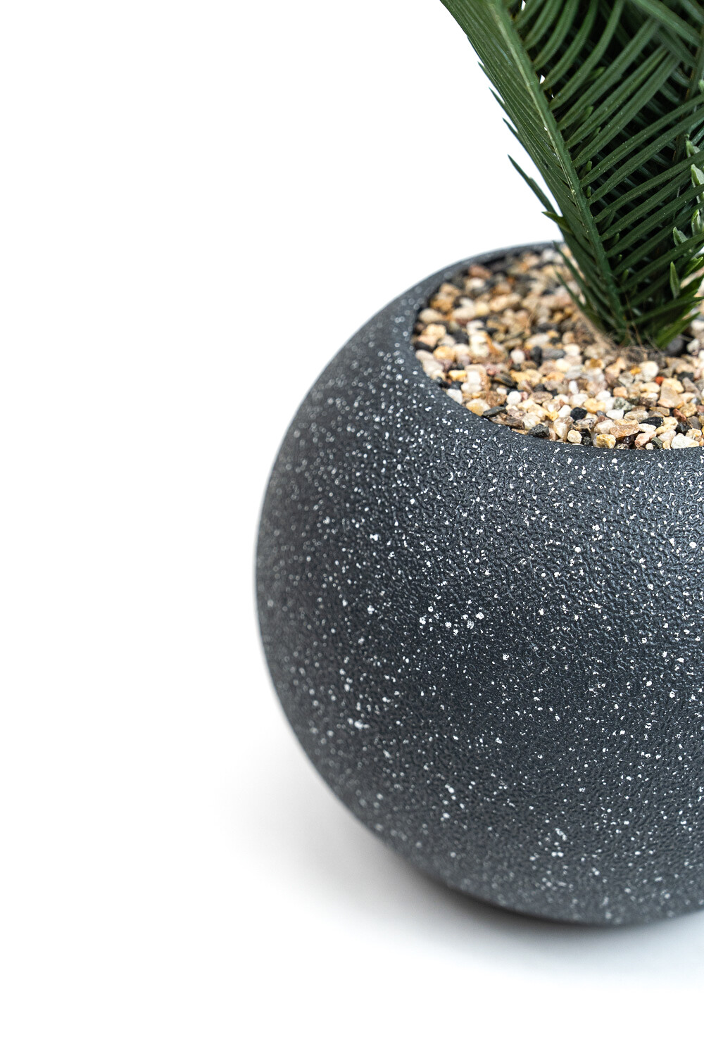 Planta Palmera 50cm Negro