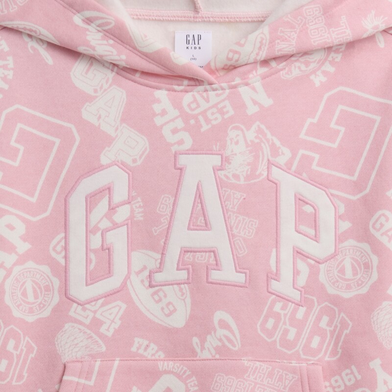 V-FA LOGO HERITAGE PO PURE PINK