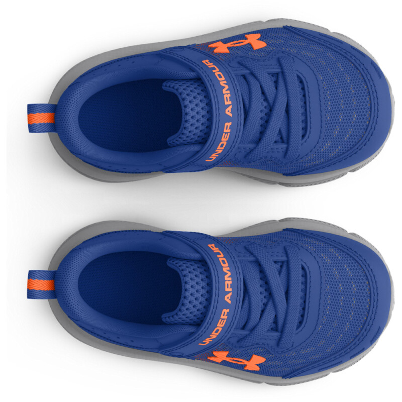 UA BINF Assert 10 AC-BLU BLU-401