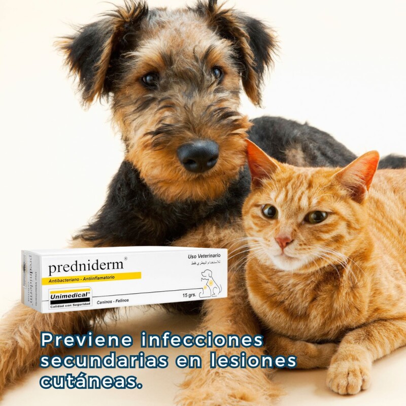 PREDNIDERM CREMA ANTINFLAMATORIA 15 G PREDNIDERM CREMA ANTINFLAMATORIA 15 G