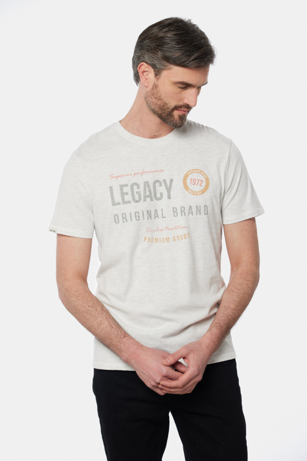 REMERA ESTAMPADA Gris