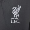 NIKE LIVERPOOL FC STRIKE Gray