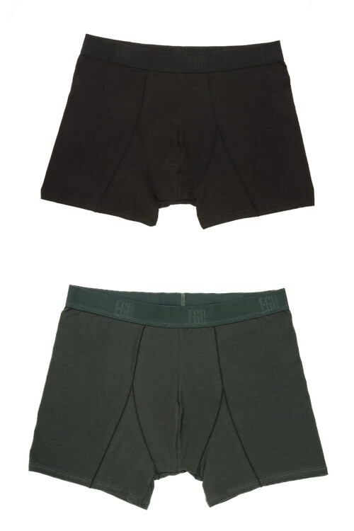 Pack x2 Boxer Liso NE/VE