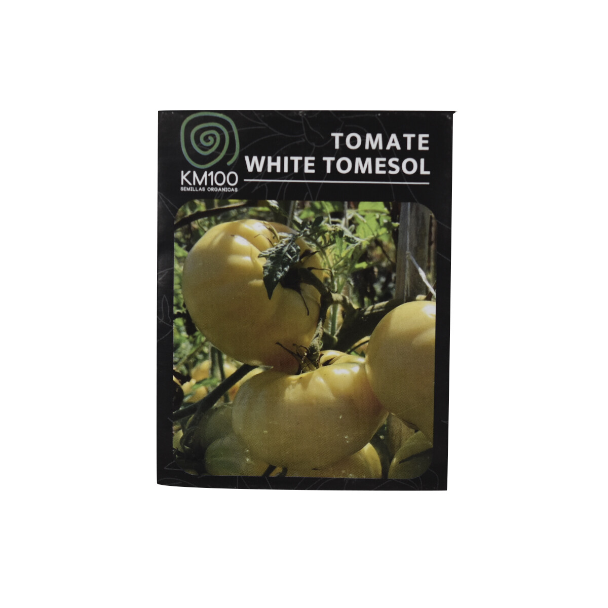 Semillas de tomate white tomesol KM100 