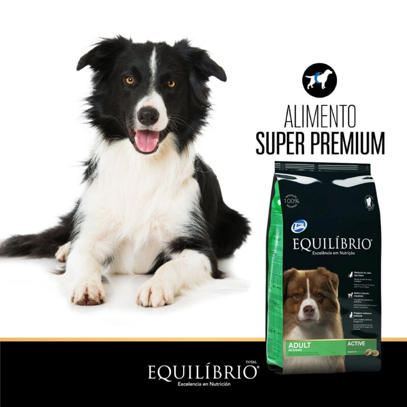 EQUILIBRIO PERROS ADULTOS TODAS LAS RAZAS ACTIVE 2 KG