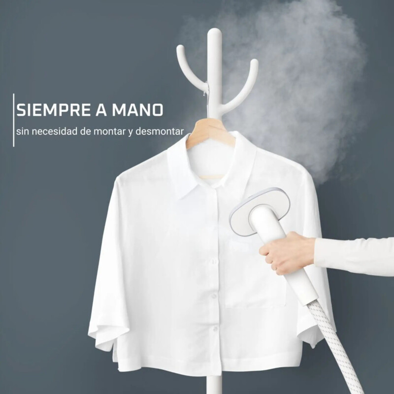 Plancha a vapor vertical Rowenta Plancha a vapor vertical Rowenta