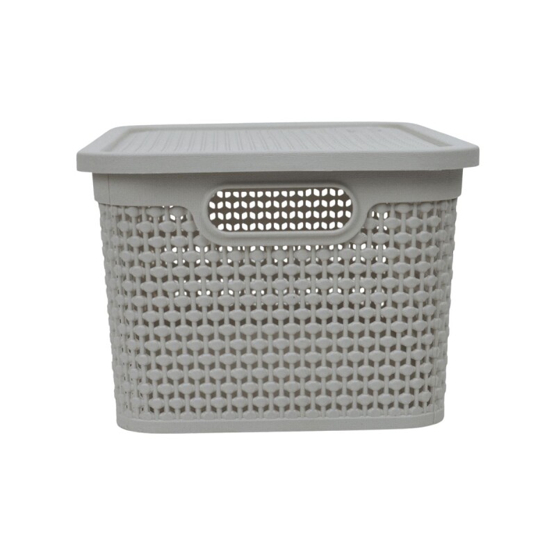 Caja simil ratán 7,5 lts CAPPUCCINO
