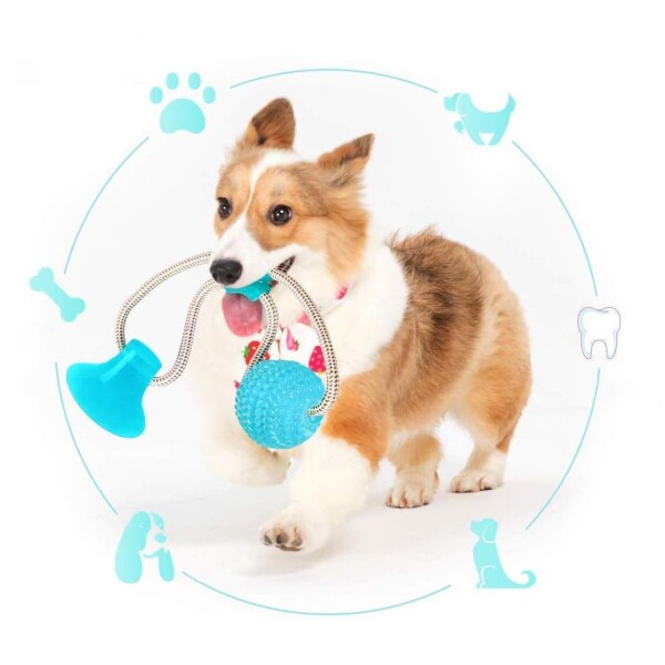 Juguete Perro Limpia Dientes Ventosa Con Cuerda Pelota Color Variante Azul
