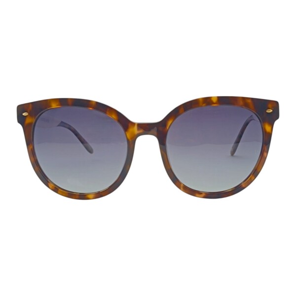 MO007453 careycombinado