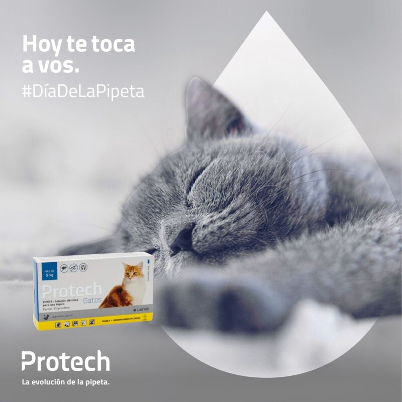 PROTECH PIPETA ANTIPULGAS CON ACCIÓN AMBIENTAL PARA GATOS MÁS DE 5 KG