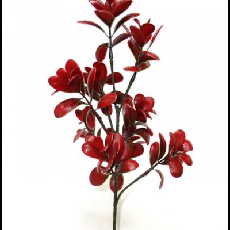 BOXWOOD GIANT SPRAY X9LVS 74CM BROWN GREEN BOXWOOD GIANT SPRAY X9LVS 74CM BROWN GREEN