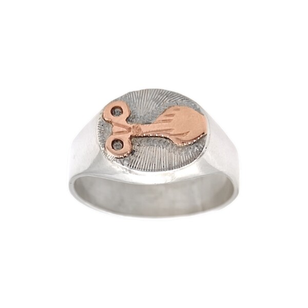 Anillo Profesión Instrumentista quirurgico-Plata y Oro-Sin Piedra-AP5004 Sinpiedra