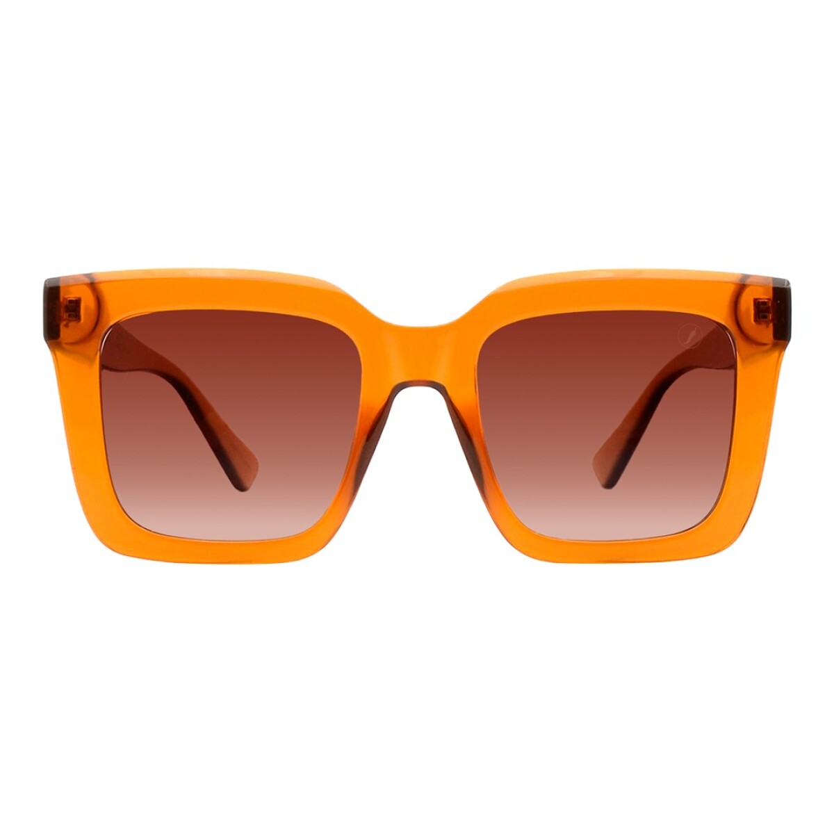 Lentes de Sol Chilli Beans Guajará Square Turtle - Marrón 