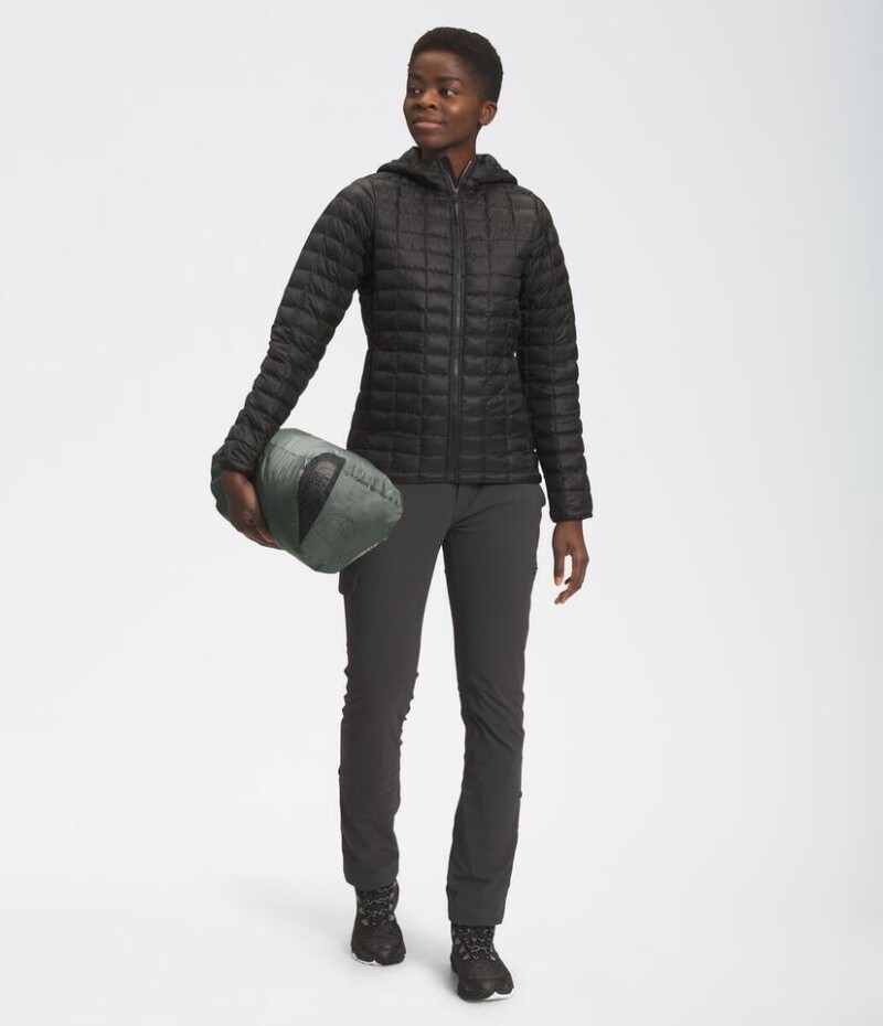 Carpa Stormbreak 3p 3 estaciones Agave Green/asphalt Grey