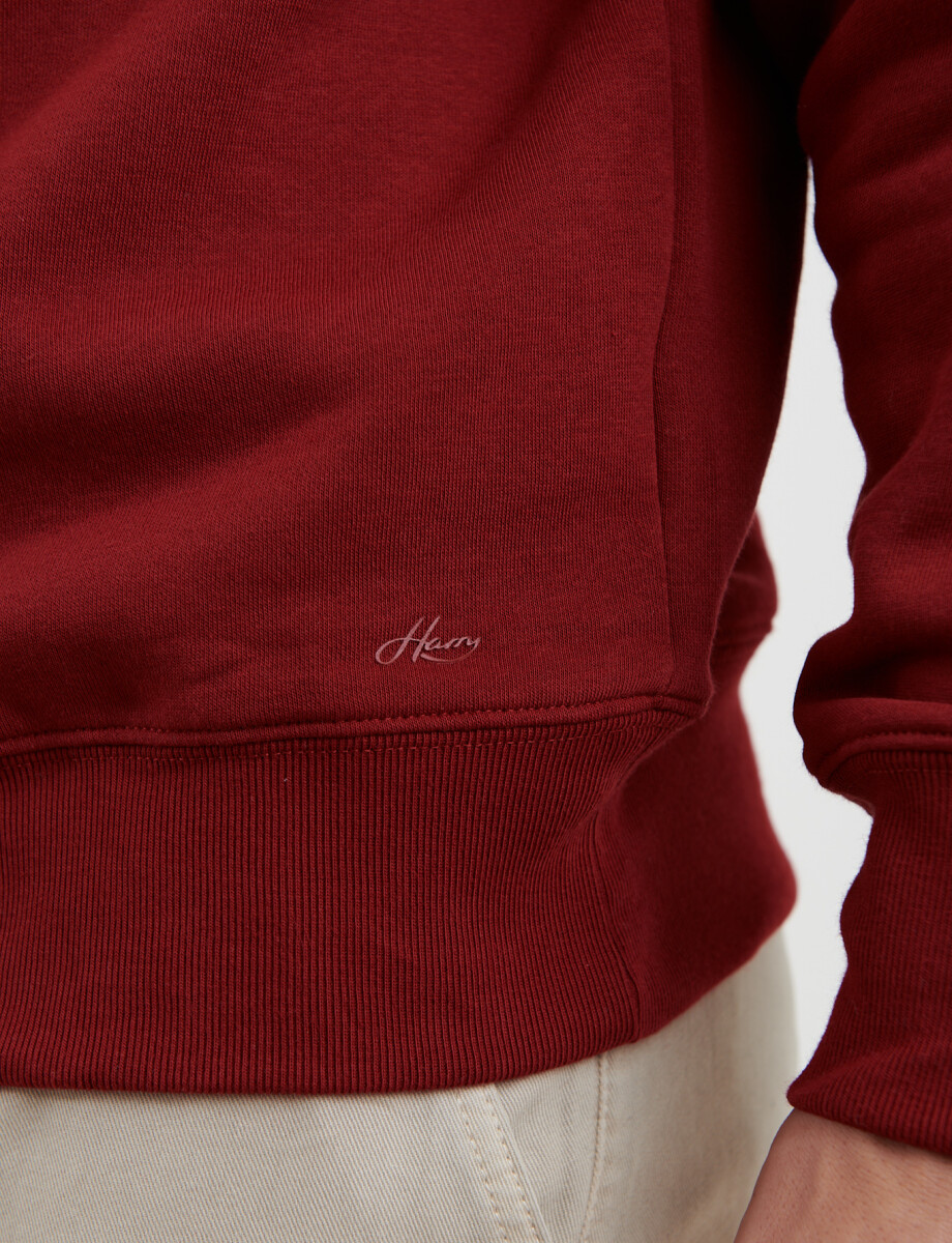 470559 SWEATER HARRY Bordo
