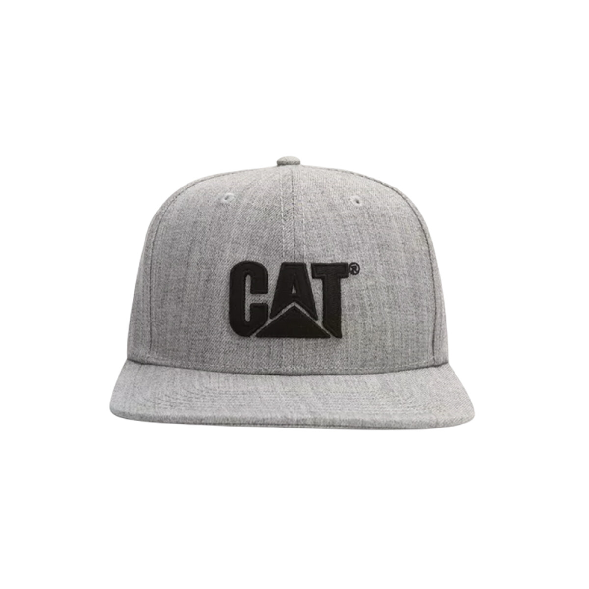  Cat Gorra Sheridan Flat Bill para hombre : Ropa, Zapatos y  Joyería