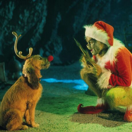 Max - The Grinch - 13 Max - The Grinch - 13