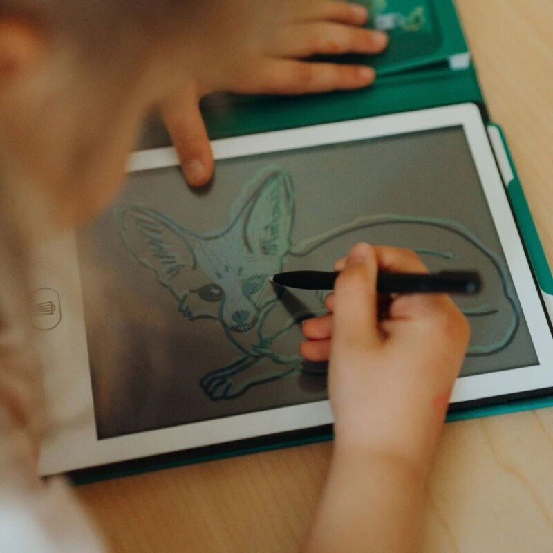 KIDYDRAW-MINI Mini Pizarra Led Con Libro Y Actividades - Animales Del Mundo