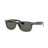 Ray-Ban 2132 Black