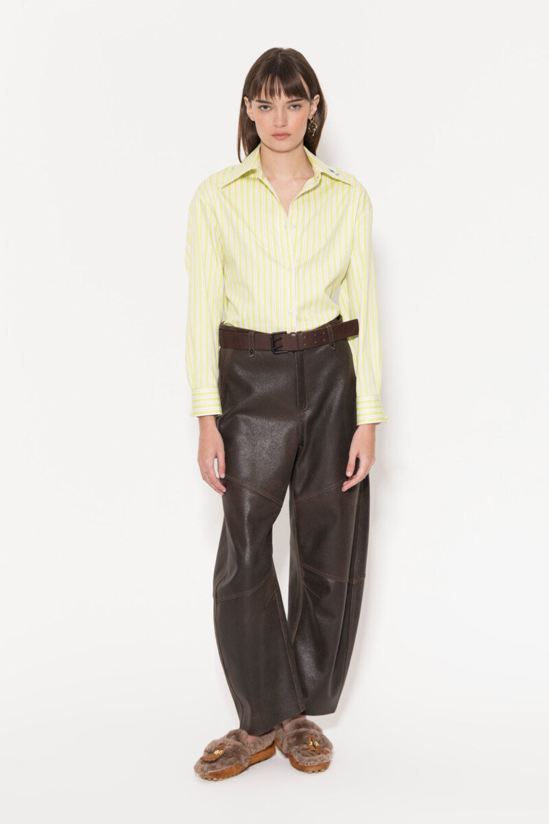 CAMISA MOSCA Verde