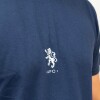 Remera Ascenso 2025 Albion FC Remera Ascenso 2025 Albion FC