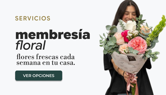 Plantas