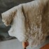 Warm Rug Beige