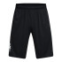UA Tech Wdmk Shorts-GRY BLK-002