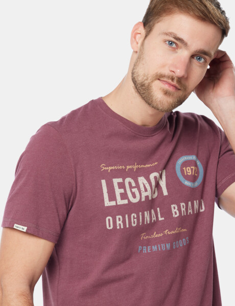 REMERA ESTAMPADA Bordo