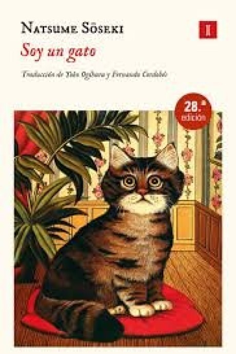 SOY UN GATO SOY UN GATO