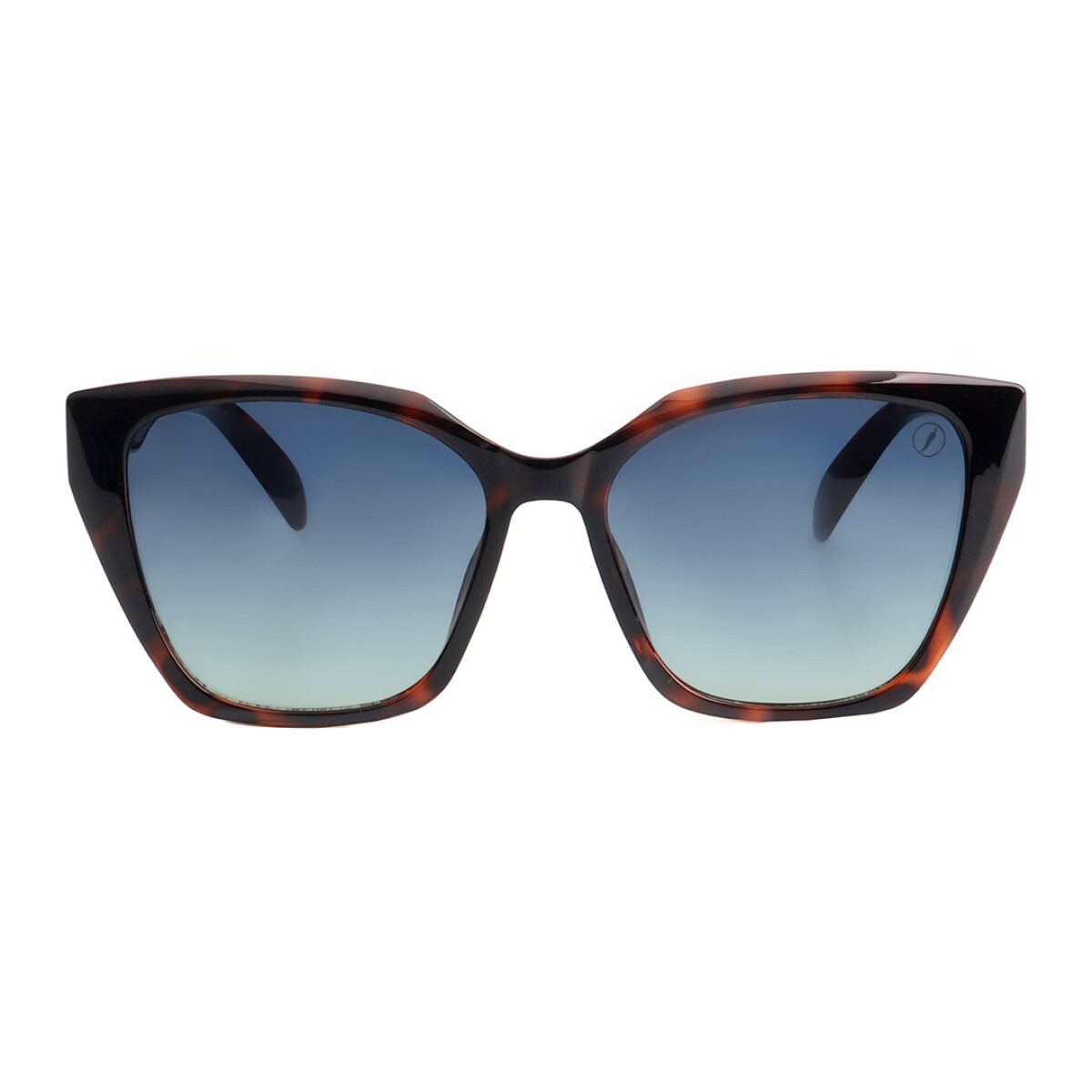 Lentes de Sol Chilli Beans Ámsterdam - Marrón 